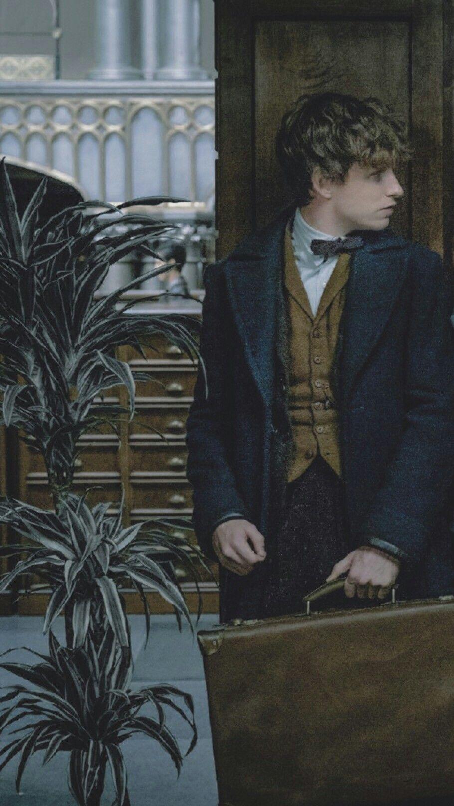 Newt Scamander Wallpapers Top Free Newt Scamander Backgrounds