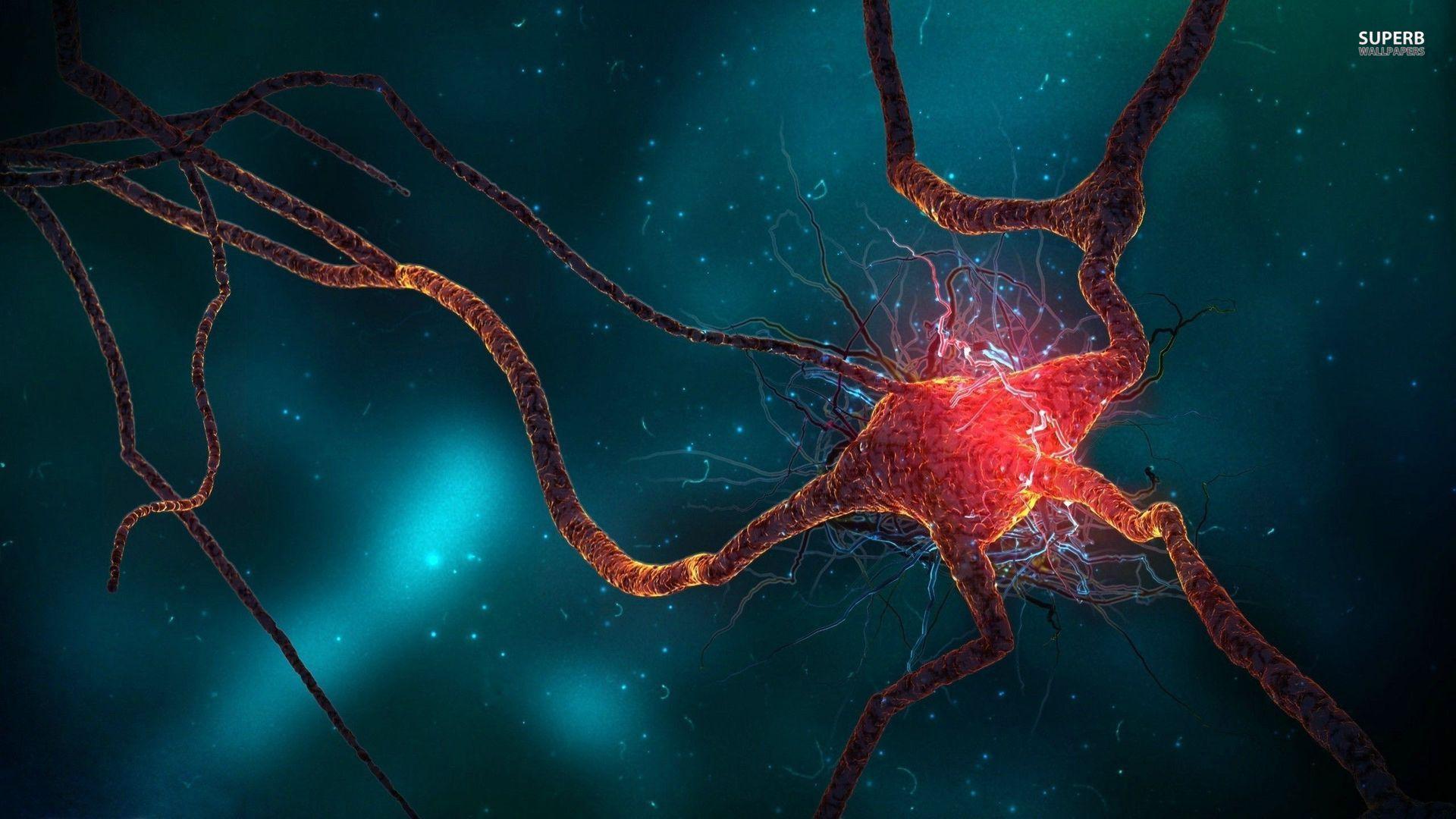 Brain Cells Wallpapers Top Free Brain Cells Backgrounds WallpaperAccess
