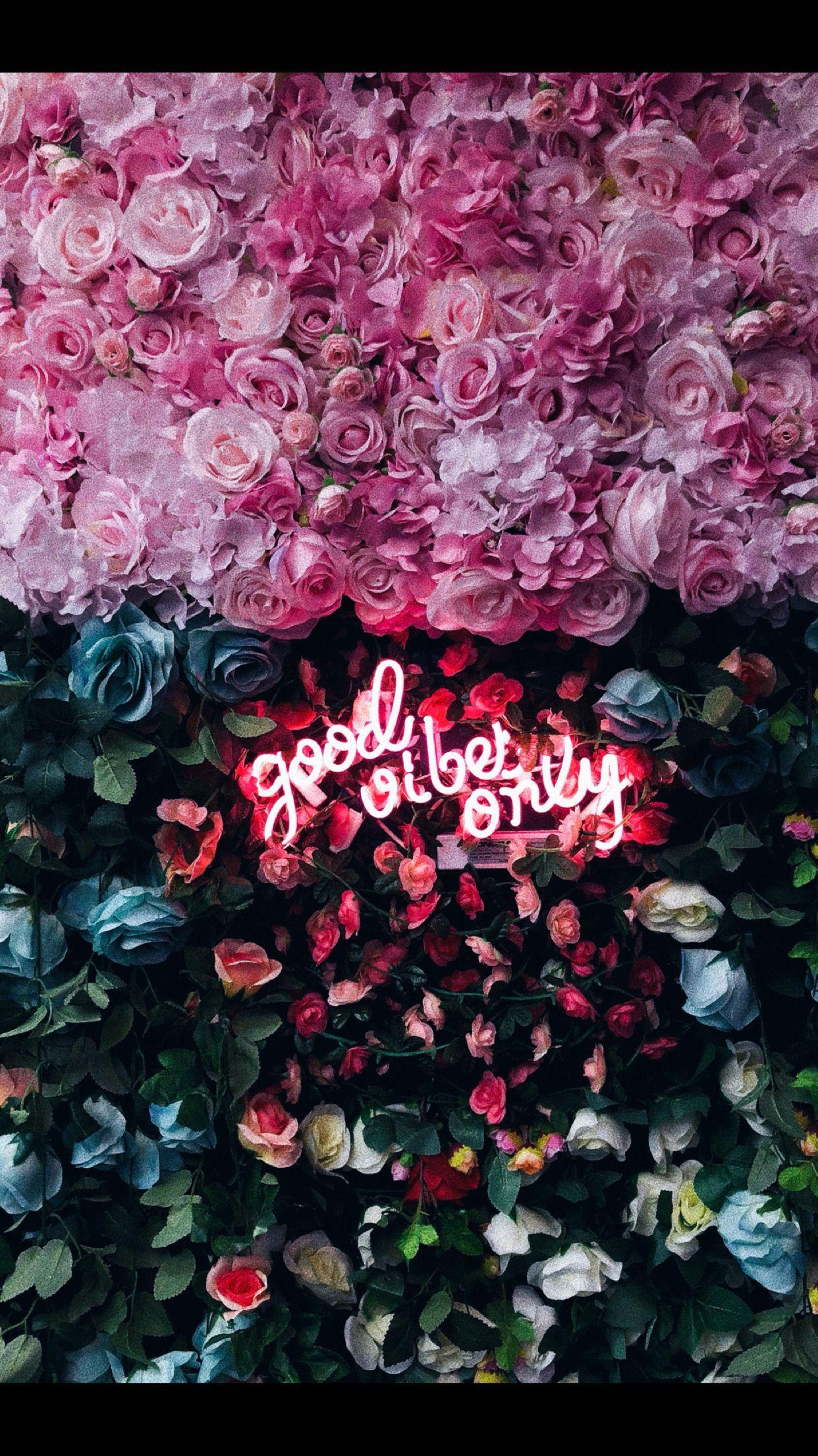 Neon Pink Floral Wallpapers Top Free Neon Pink Floral Backgrounds