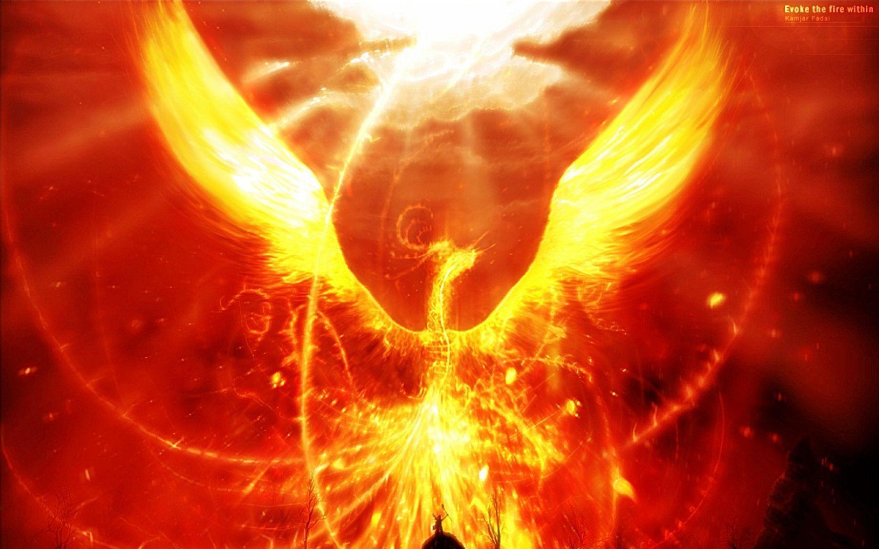 4K Phoenix Bird Wallpapers Top Free 4K Phoenix Bird Backgrounds