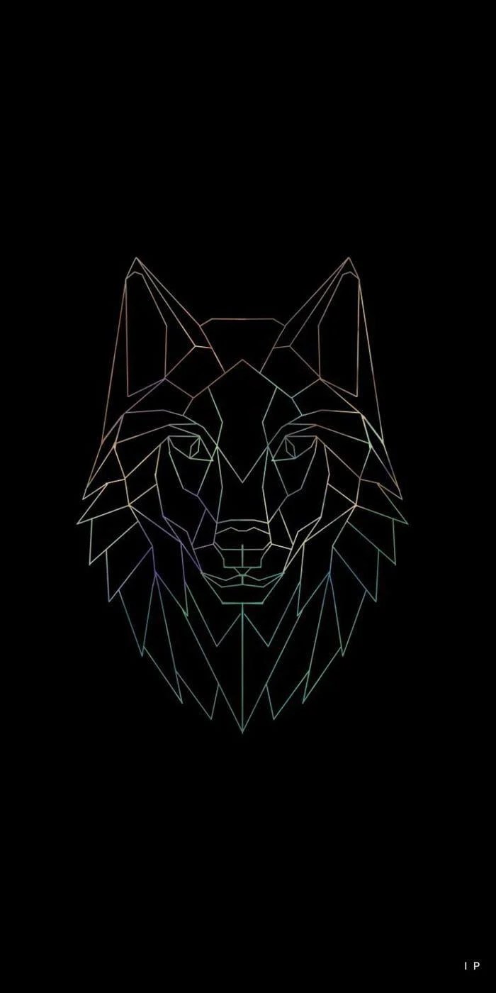 Geometric Animal Wolf Wallpapers Top Free Geometric Animal Wolf