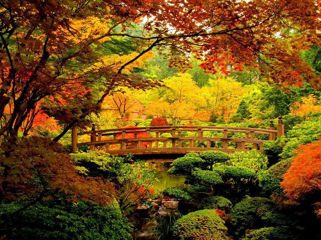 Peaceful Japanese Wallpapers Top Free Peaceful Japanese Backgrounds