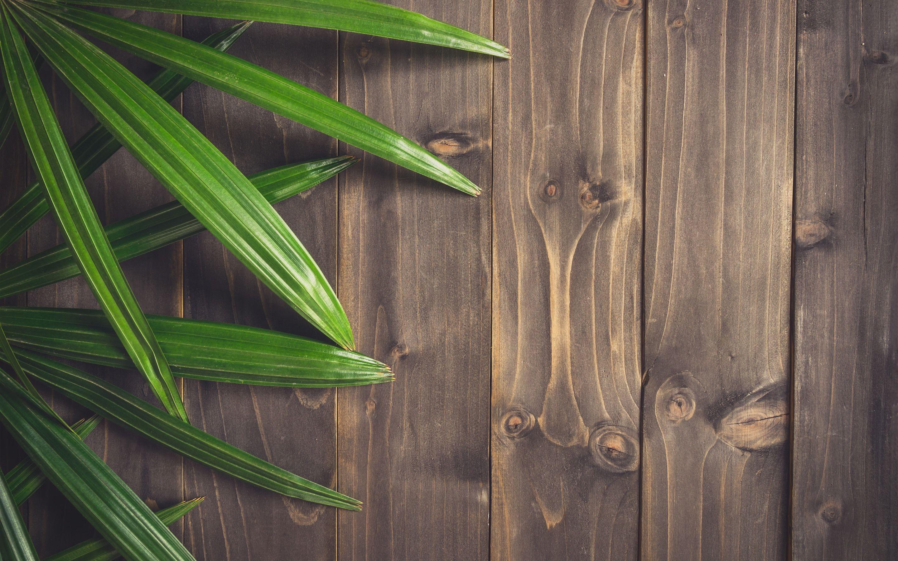 Green Board Wallpapers Top Free Green Board Backgrounds WallpaperAccess