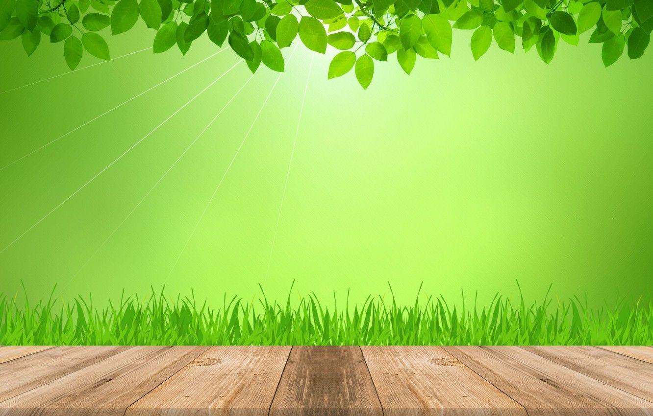 Green Board Wallpapers Top Free Green Board Backgrounds WallpaperAccess