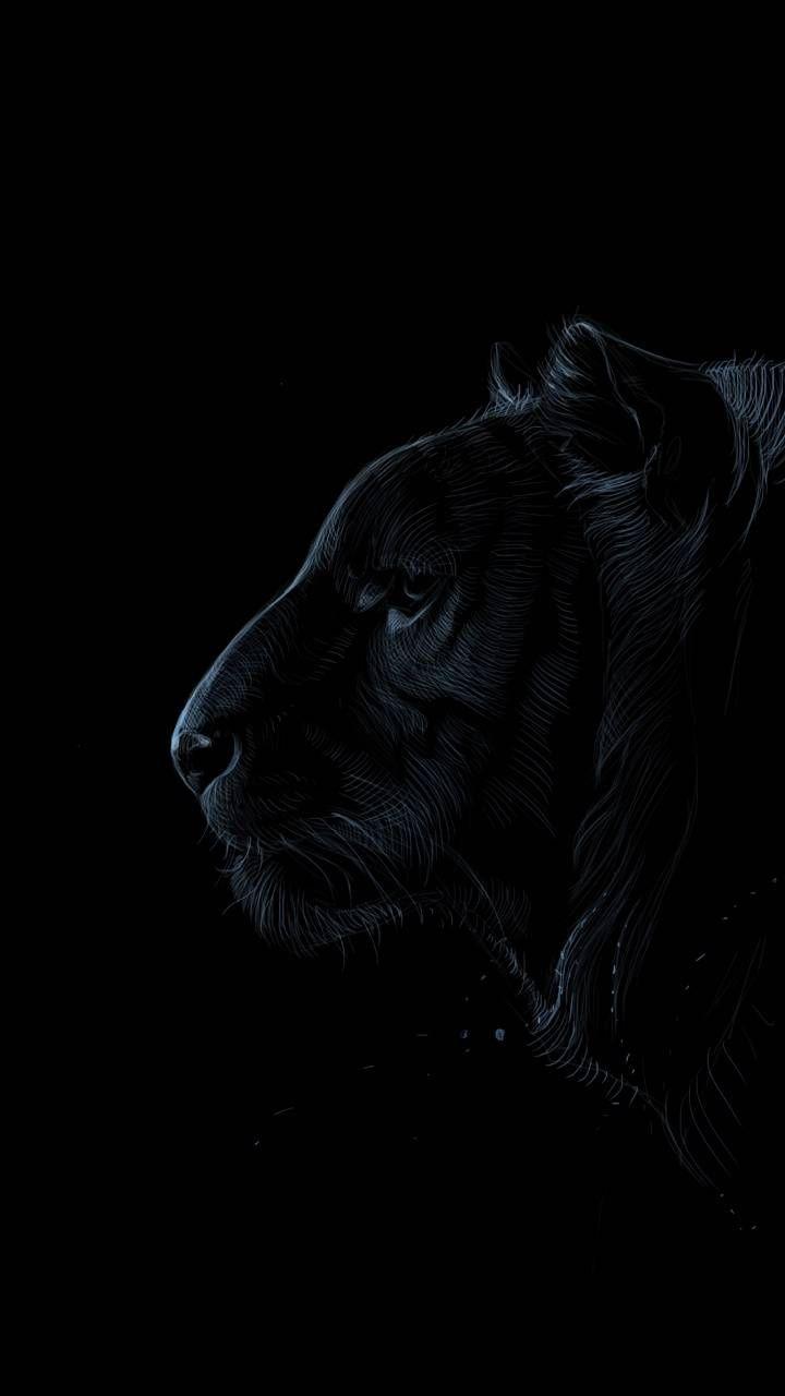 Black Tiger iPhone Wallpapers Top Free Black Tiger iPhone Backgrounds WallpaperAccess