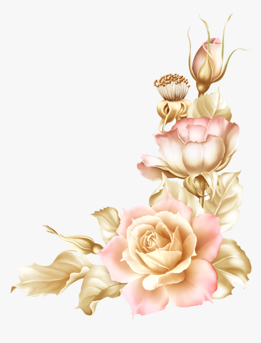 HD Rose Border Wallpapers Top Free HD Rose Border Backgrounds