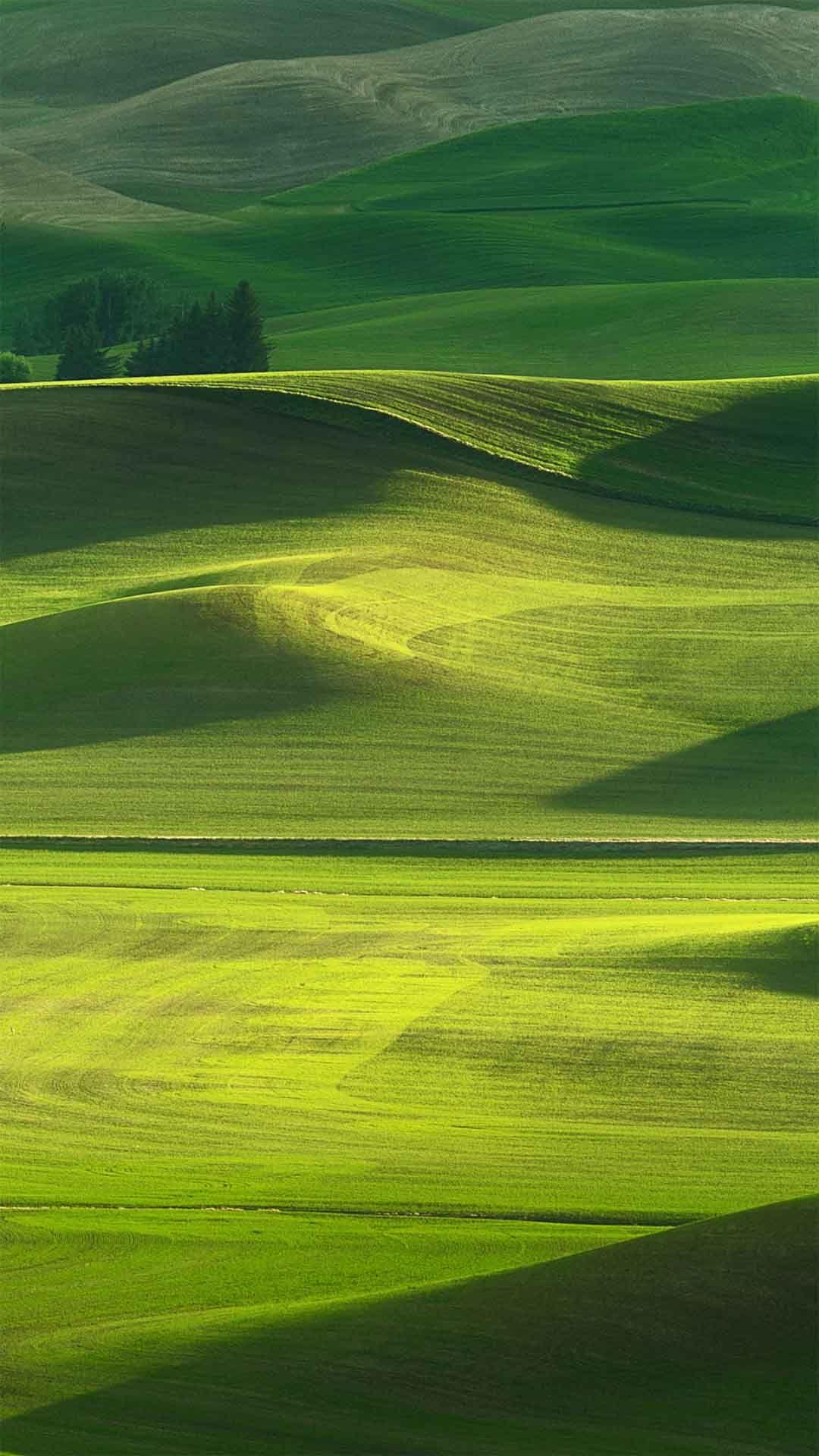 Oppo F1s Wallpapers Top Free Oppo F1s Backgrounds WallpaperAccess