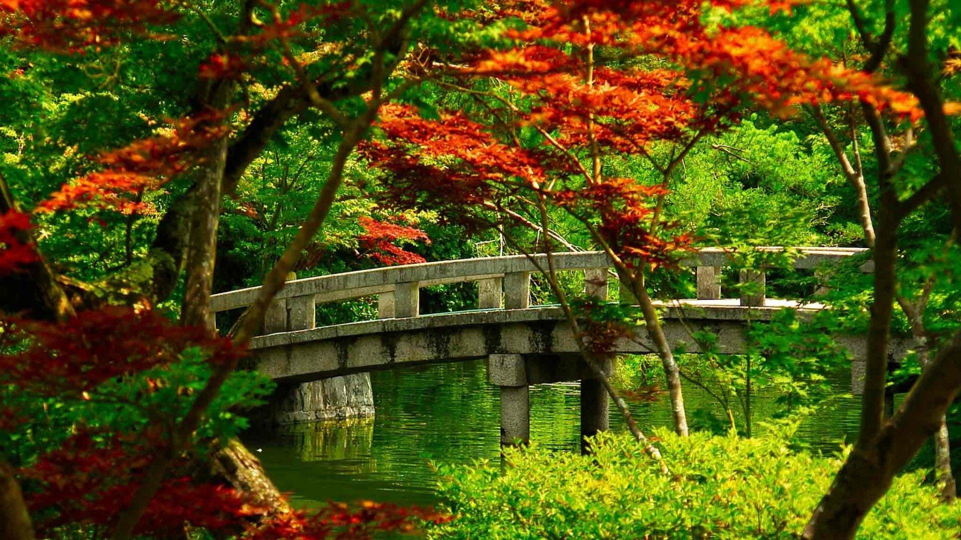 Japanese Green Wallpapers Top Free Japanese Green Backgrounds
