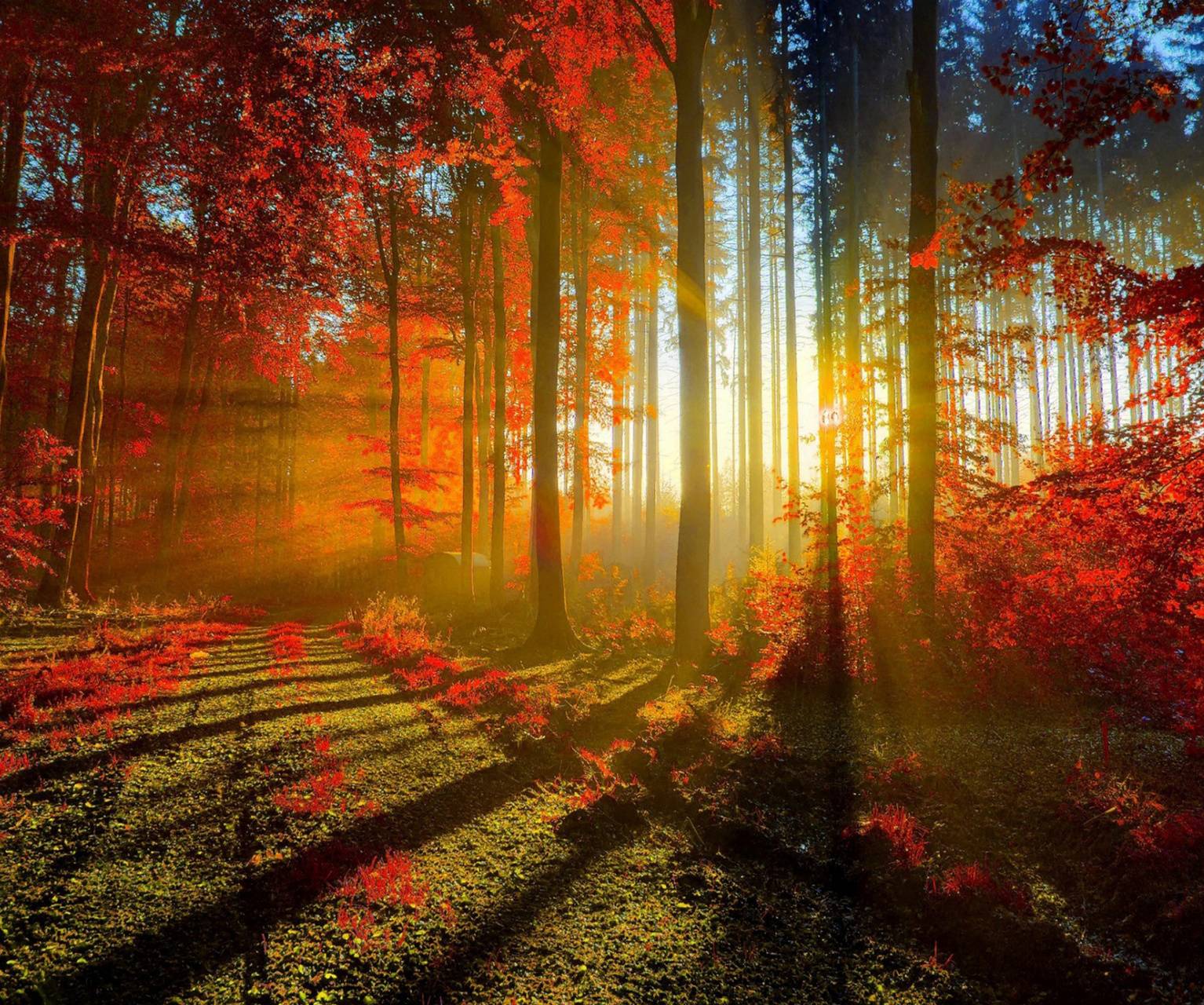 Autumn Sunrise Wallpapers Top Free Autumn Sunrise Backgrounds