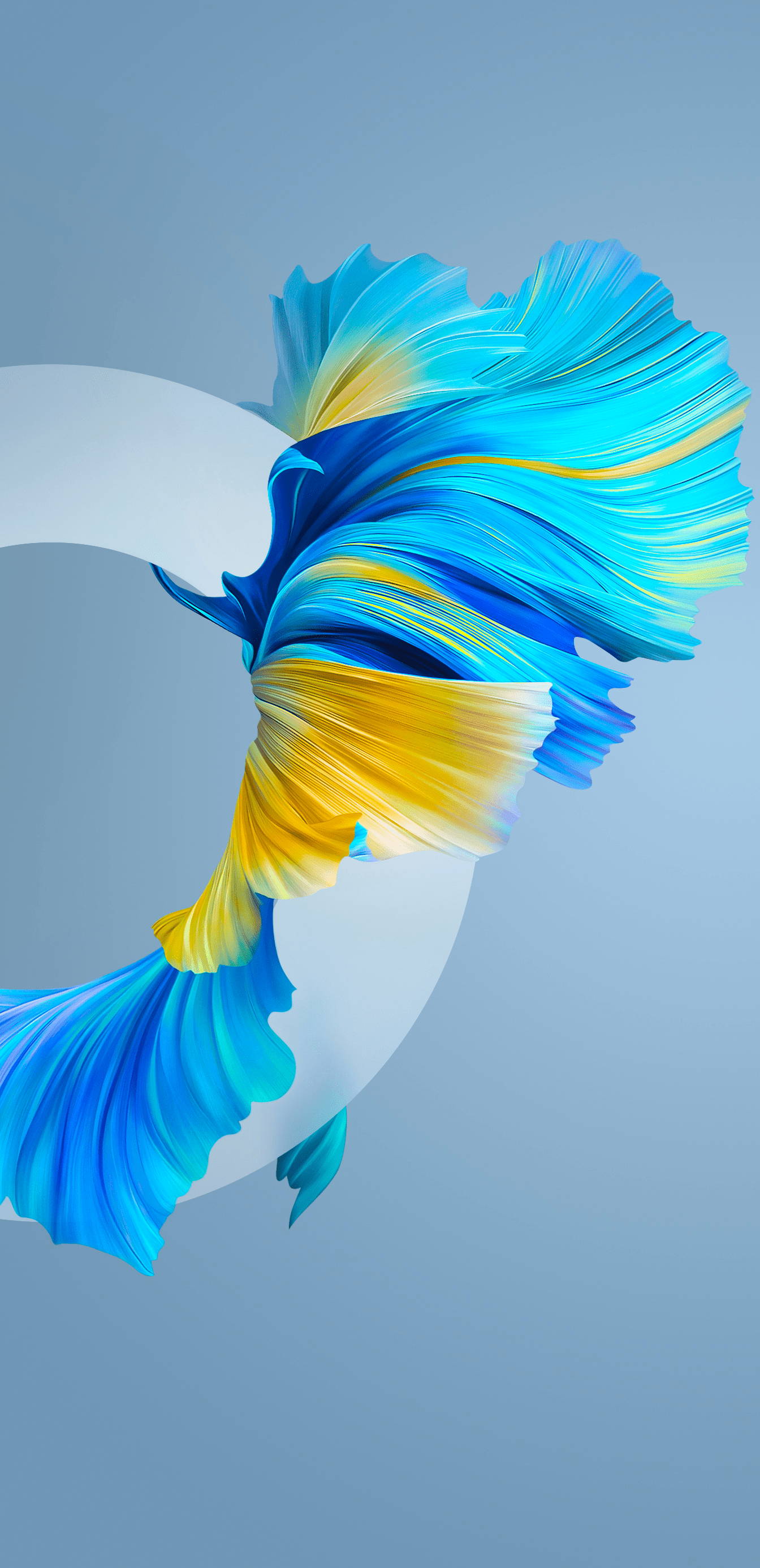 4K Huawei Wallpapers Top Free 4K Huawei Backgrounds WallpaperAccess