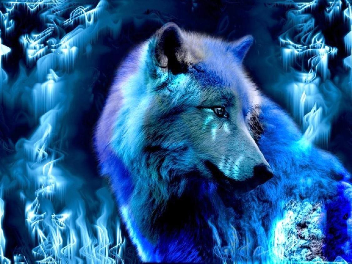 Cool Blue Wolf Wallpapers Top Free Cool Blue Wolf Backgrounds