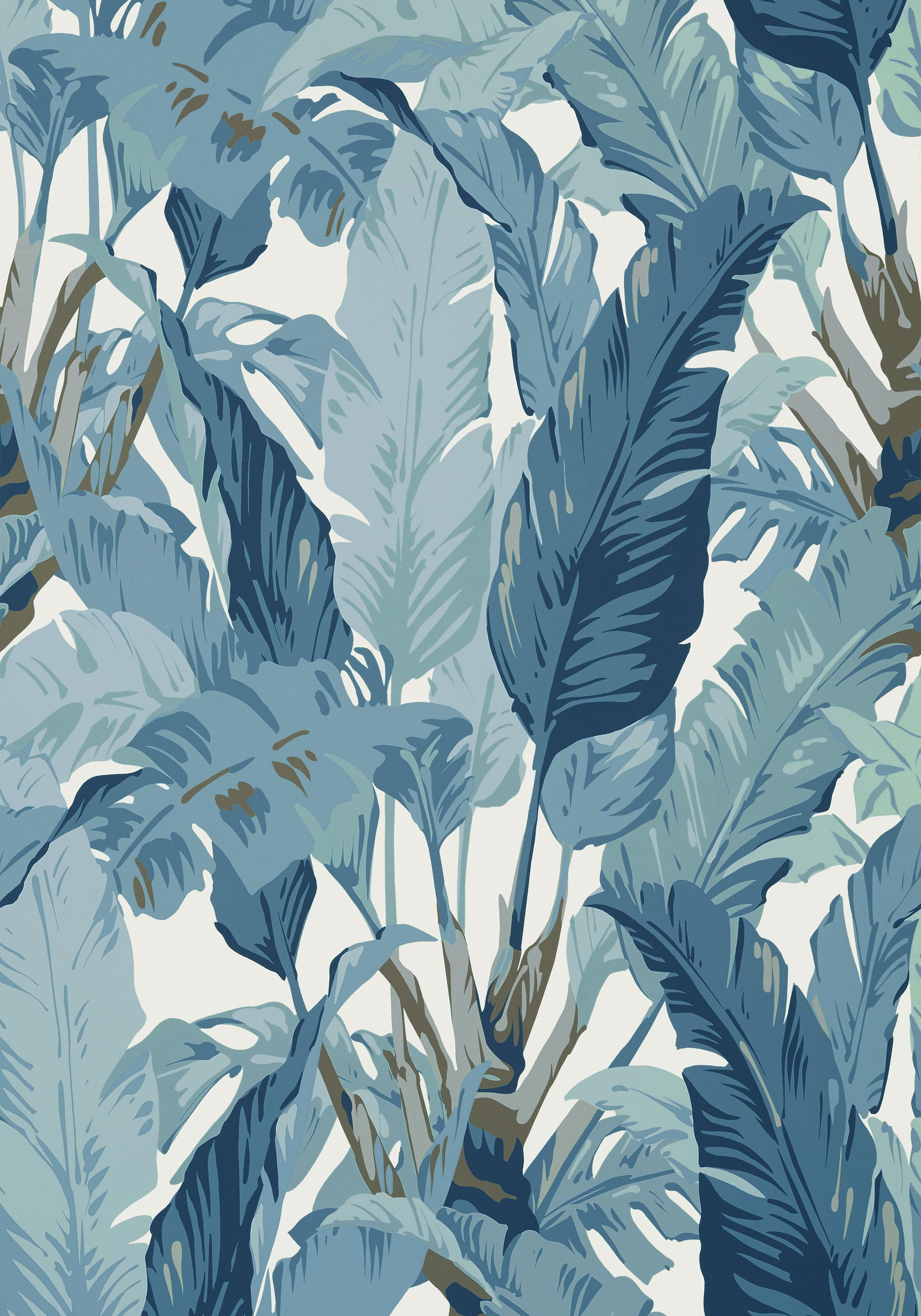 Blue Tropical Leaf Wallpapers Top Free Blue Tropical Leaf Backgrounds