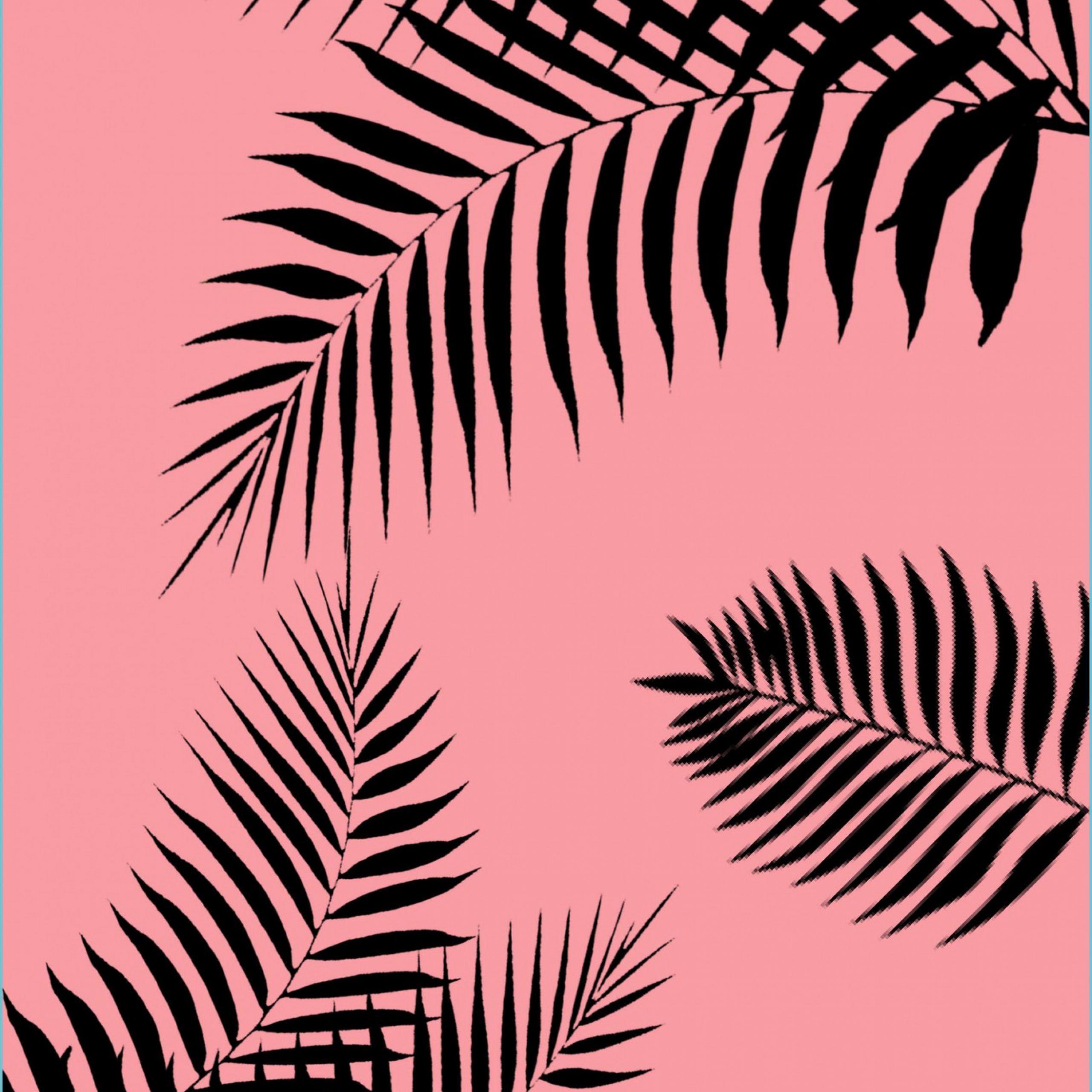 Pink Tropical Leaves Wallpapers Top Free Pink Tropical Leaves