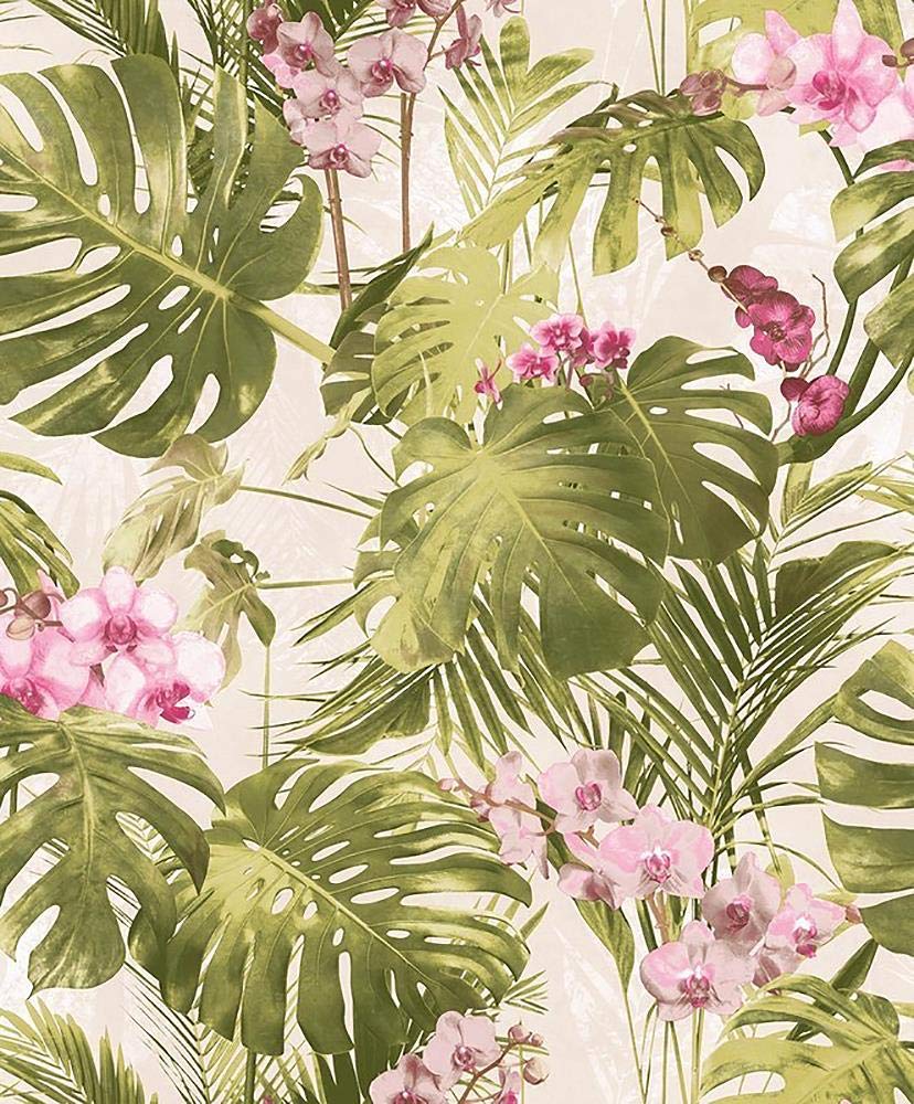 Pink Tropical Leaves Wallpapers Top Free Pink Tropical Leaves