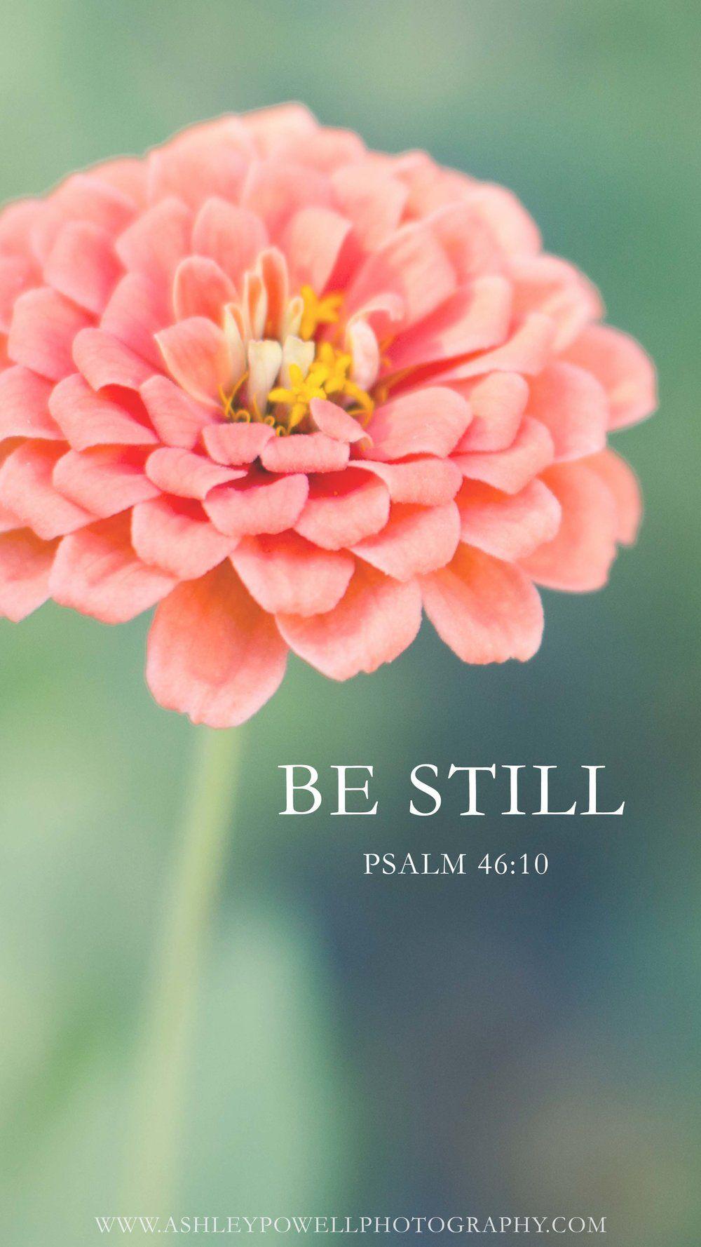 Be Still Wallpapers Top Free Be Still Backgrounds WallpaperAccess