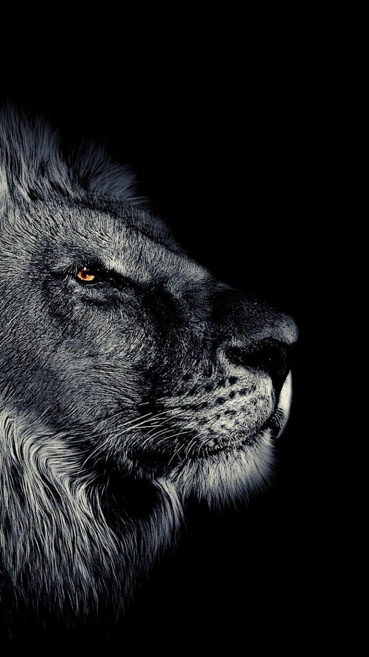 Amazing Dark HD iPhone Wallpapers Top Free Amazing Dark HD iPhone