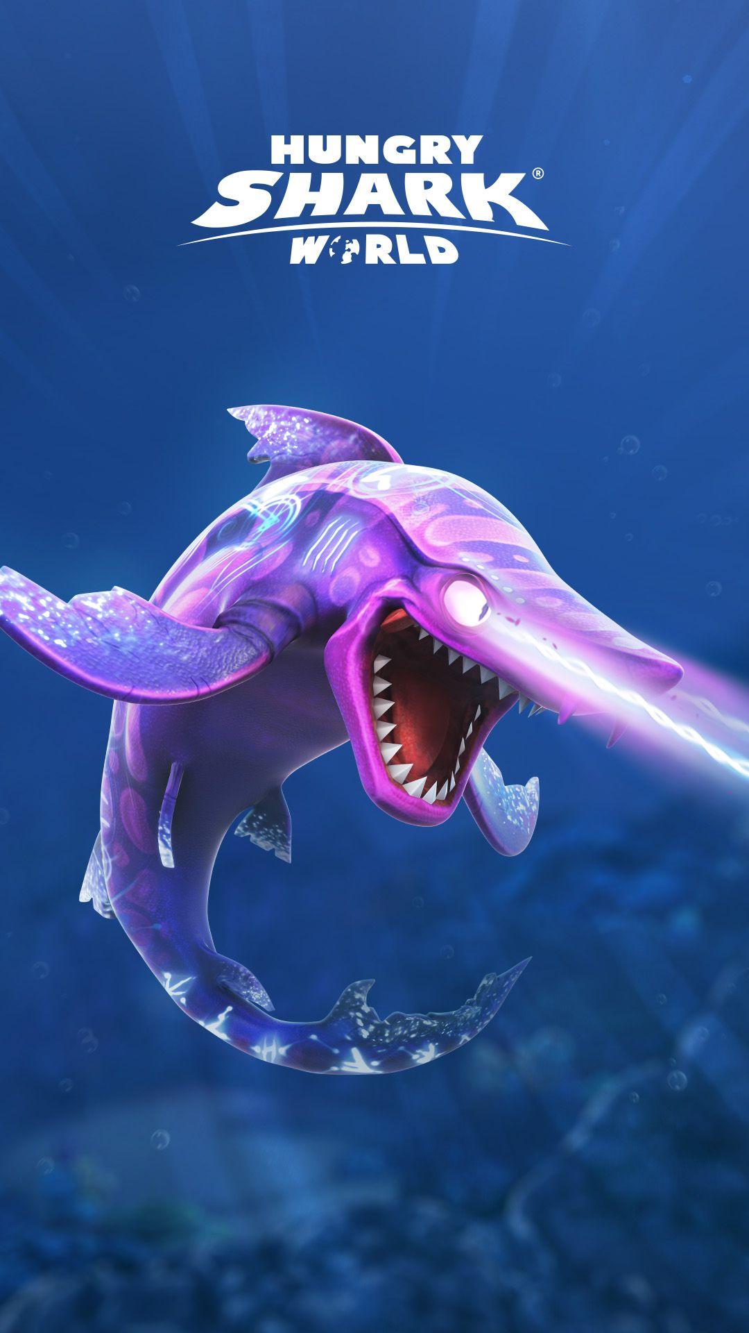 Hungry Shark Wallpapers Top Free Hungry Shark Backgrounds