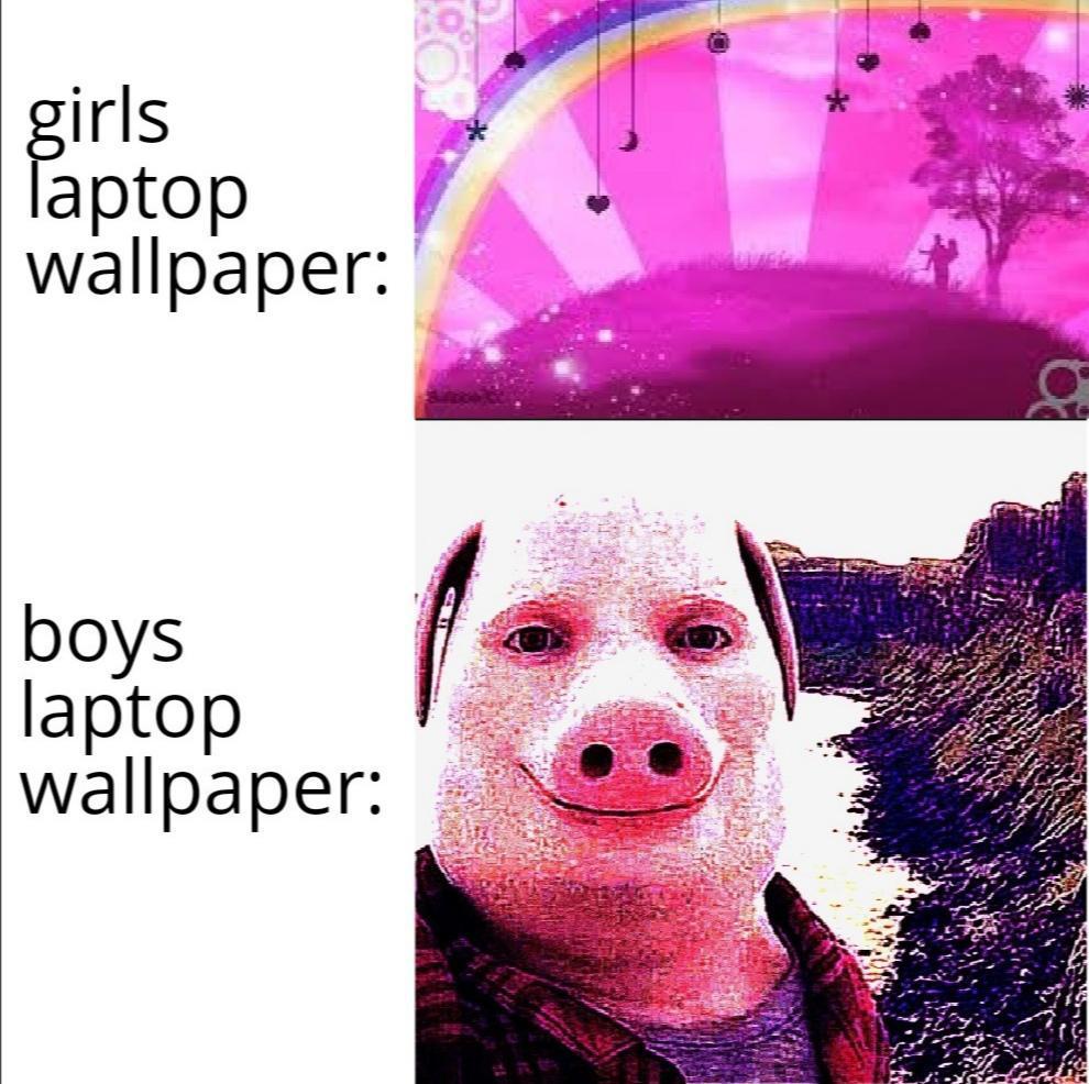 Bruh Girl Wallpapers Top Free Bruh Girl Backgrounds WallpaperAccess