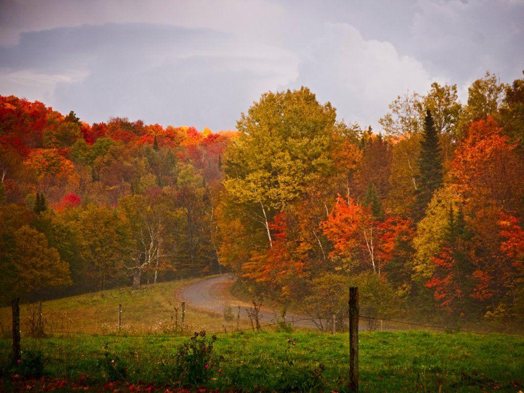 Vermont Fall Foliage Wallpapers Top Free Vermont Fall Foliage
