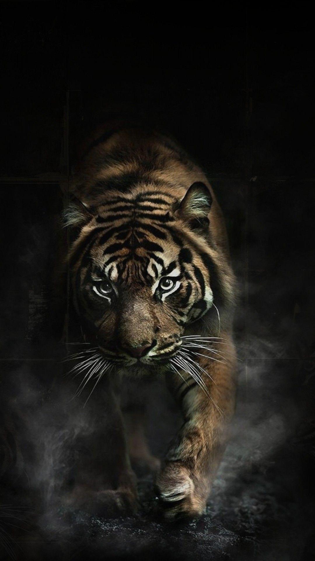 Background Keren 3D Harimau Jual Kaos Lukis Unik Keren Naga Vs