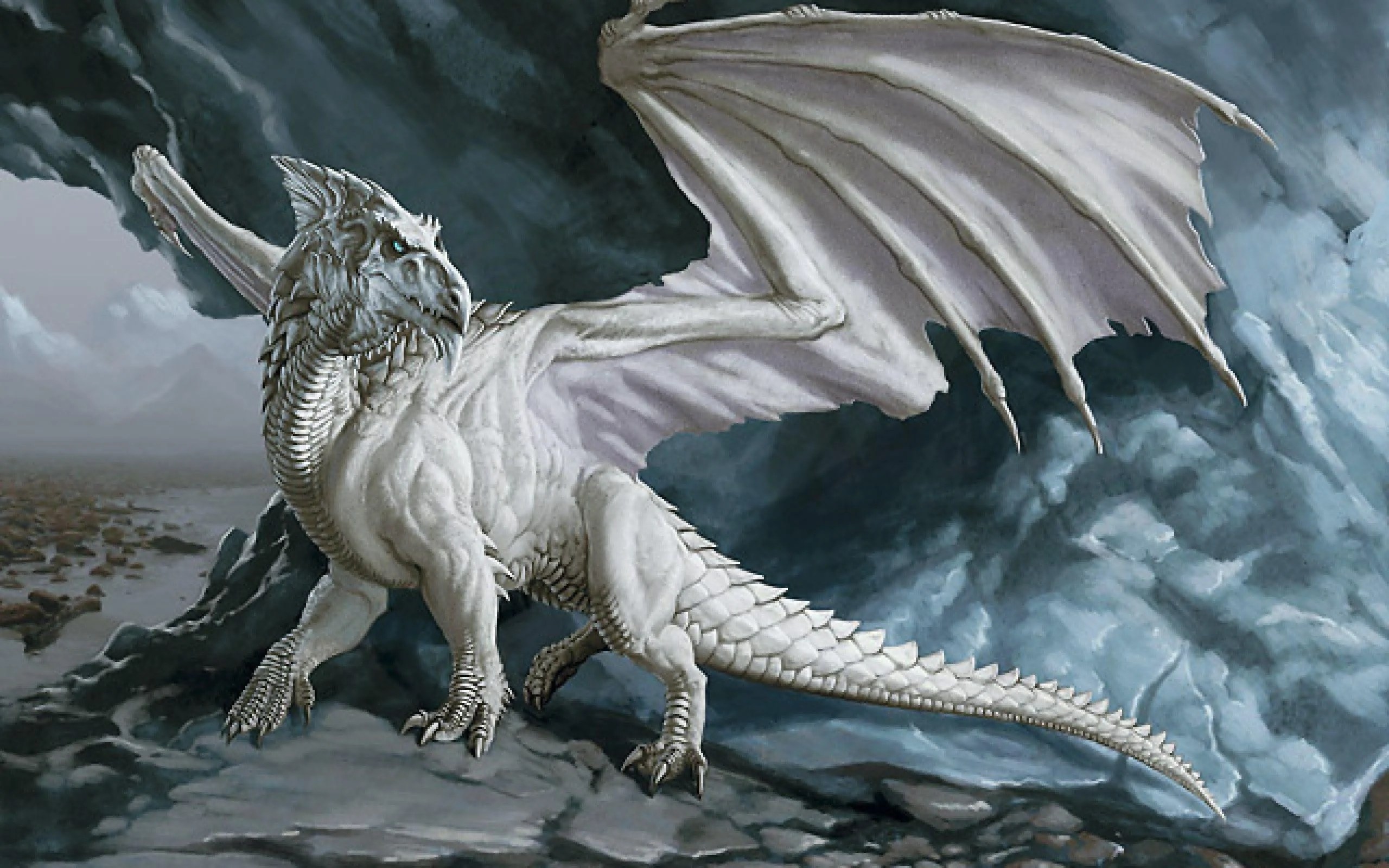 Wind Dragon Wallpapers - Top Free Wind Dragon Backgrounds - WallpaperAccess