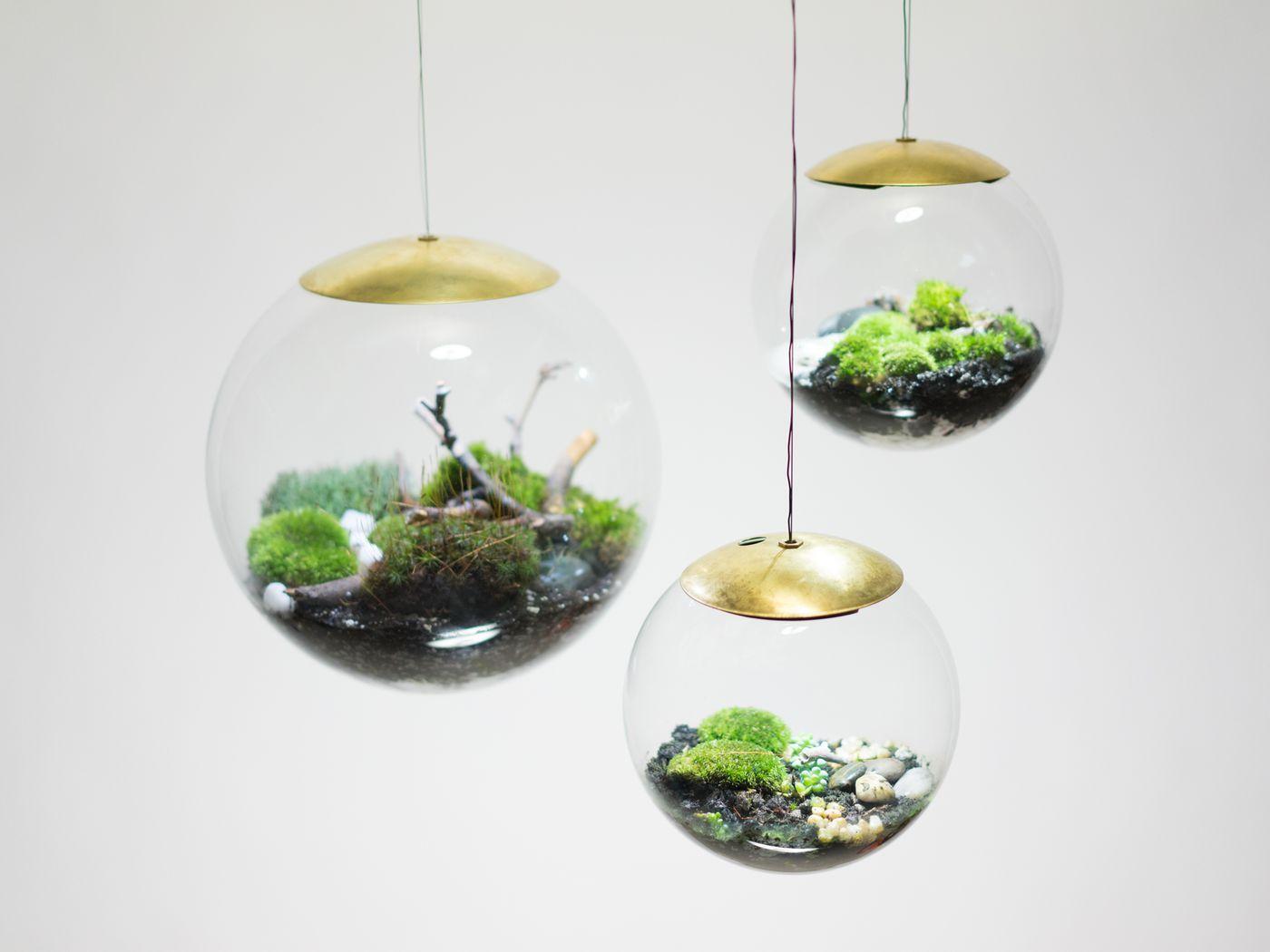 Terrarium Wallpapers Top Free Terrarium Backgrounds WallpaperAccess