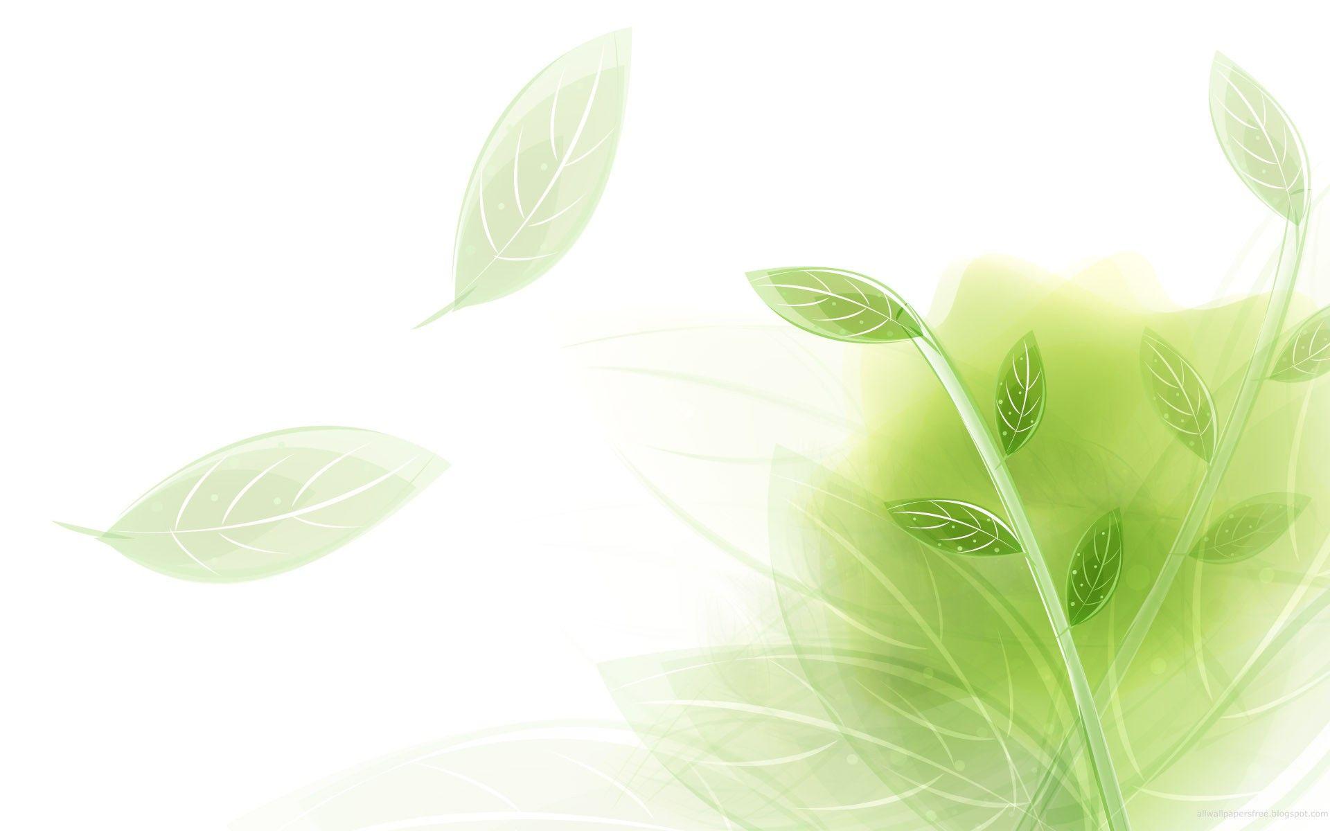 Light Green Nature Wallpapers Top Free Light Green Nature Backgrounds