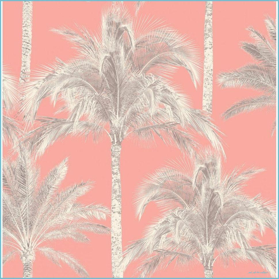 Pink Palm Tree Wallpapers Top Free Pink Palm Tree Backgrounds