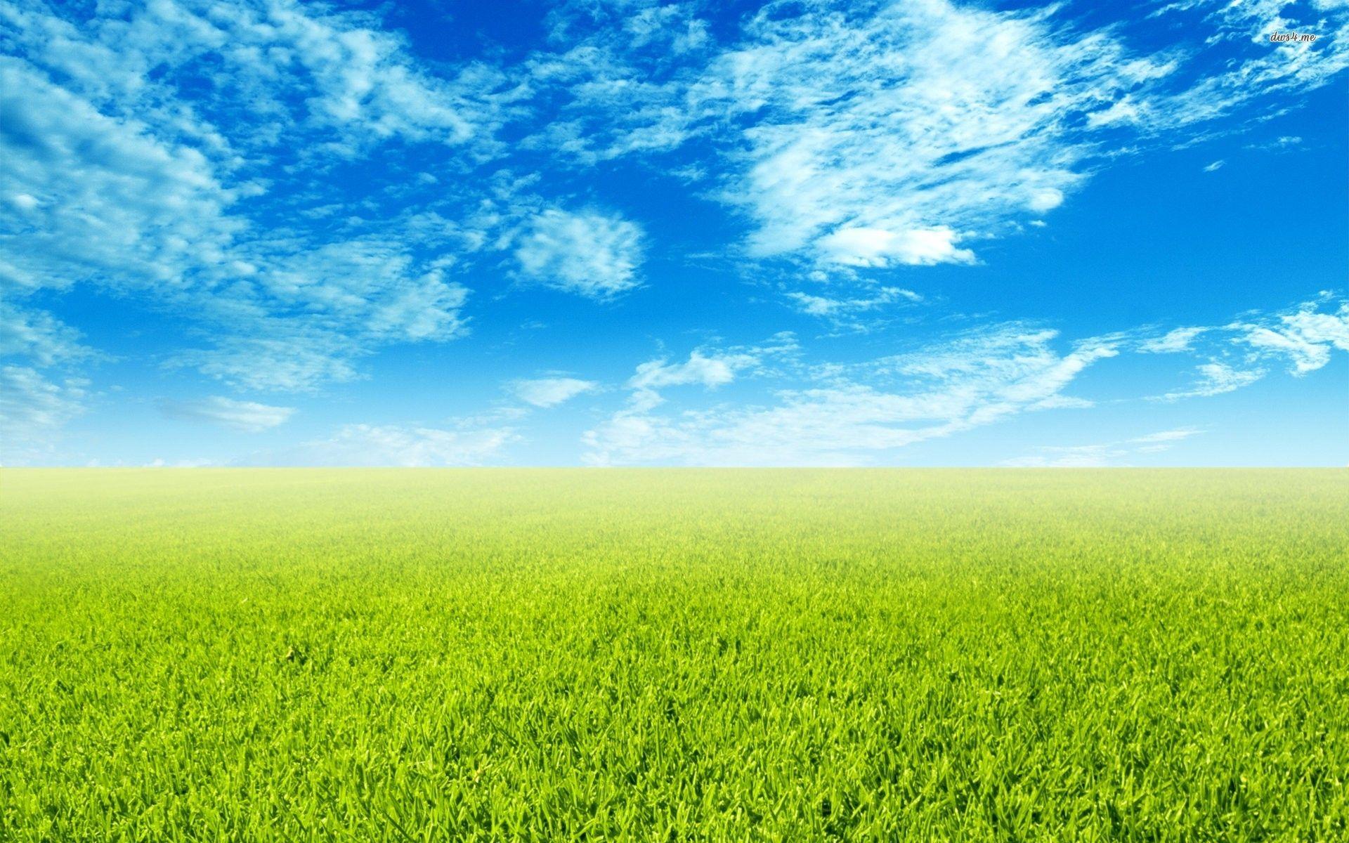 Field Sky Wallpapers Top Free Field Sky Backgrounds WallpaperAccess