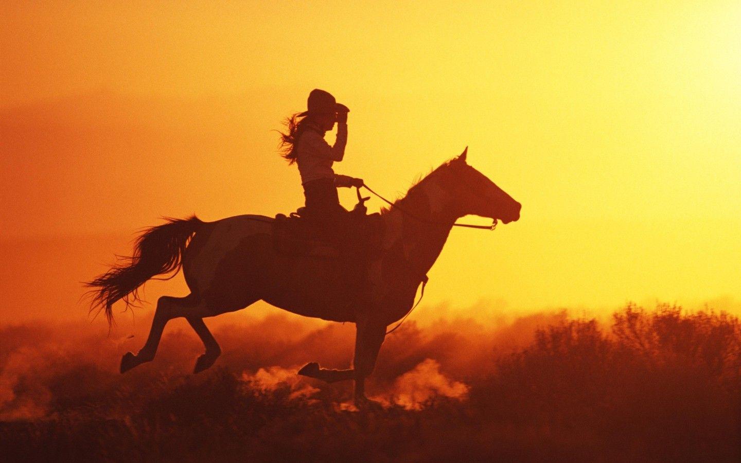 Horse Riding Wallpapers Top Free Horse Riding Backgrounds