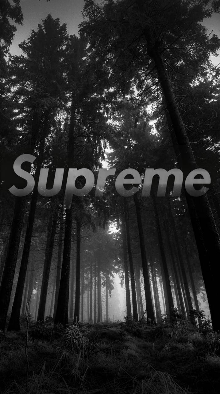 Dark Supreme Wallpapers Top Free Dark Supreme Backgrounds