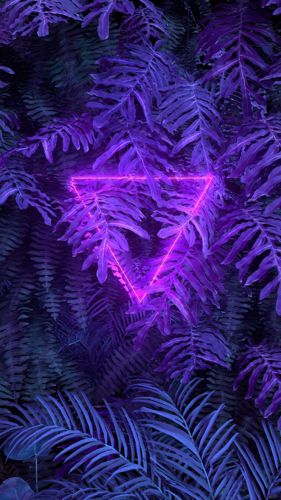 Neon Purple iPhone Wallpapers Top Free Neon Purple iPhone Backgrounds