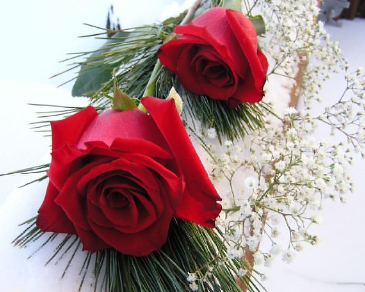 Romantic Love Flowers Wallpapers Top Những Hình Ảnh Đẹp