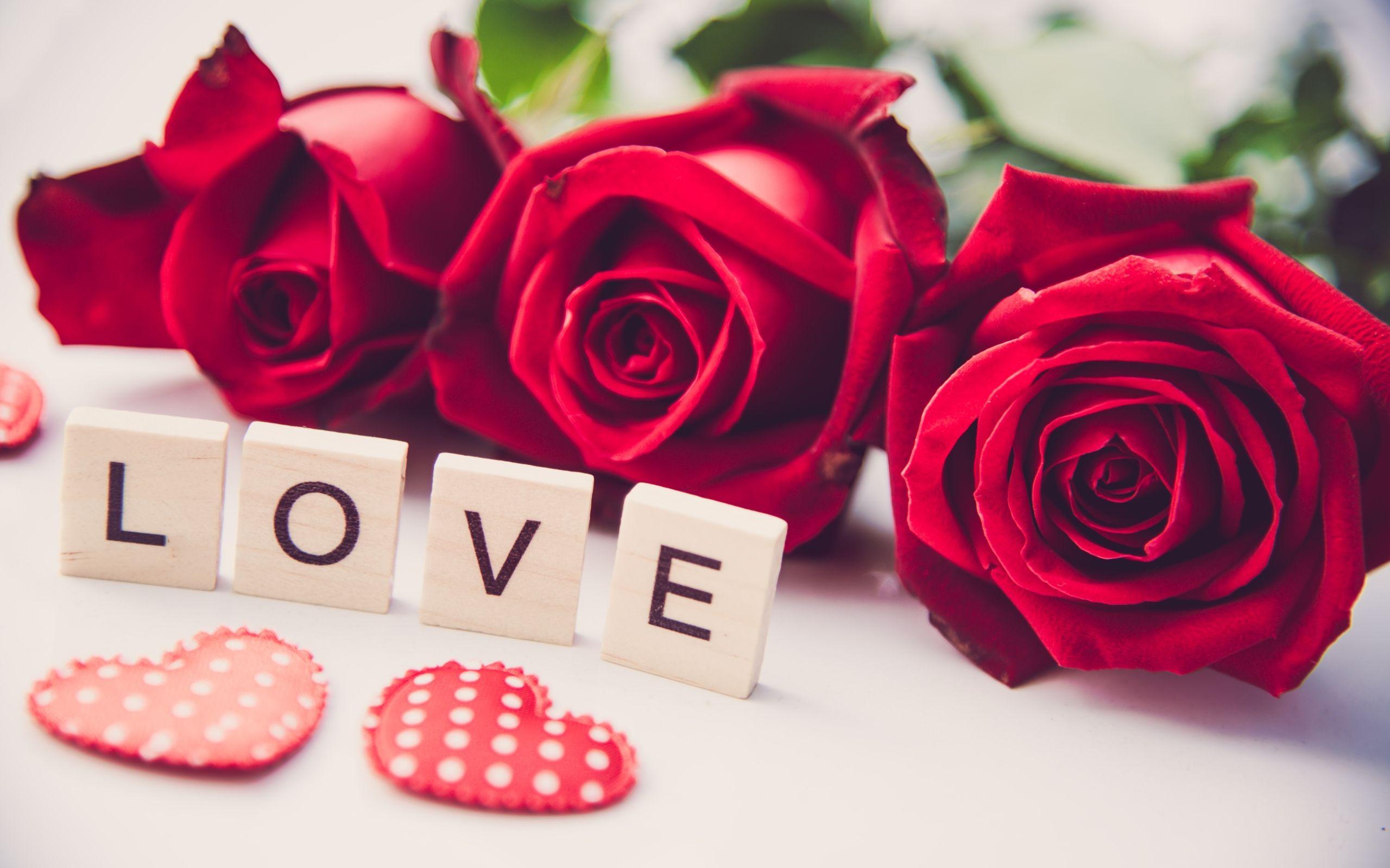 Romantic Love Flowers Wallpapers Top Free Romantic Love Flowers