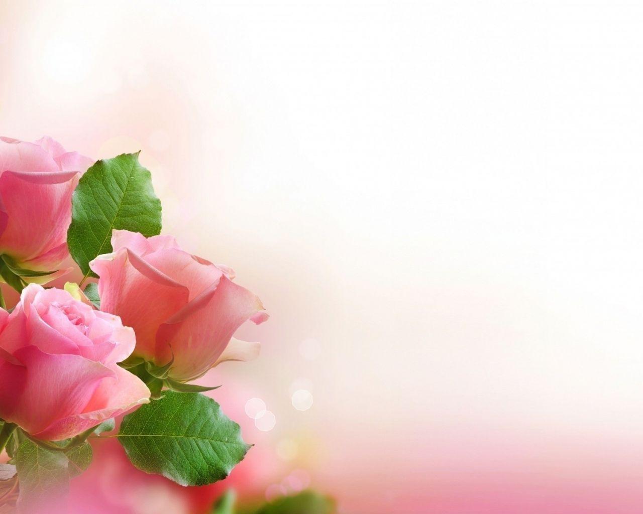 Romantic Love Flowers Wallpapers Top Free Romantic Love Flowers