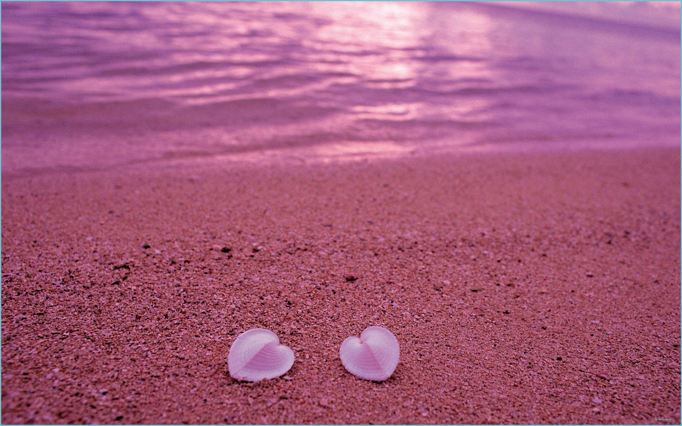 Pink Sand Beach Wallpapers Top Free Pink Sand Beach Backgrounds