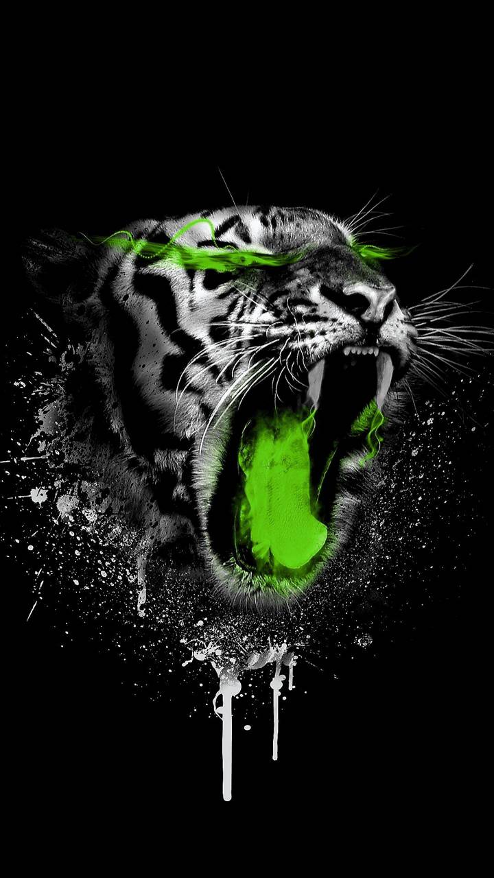 Green Tiger Wallpapers Top Free Green Tiger Backgrounds WallpaperAccess