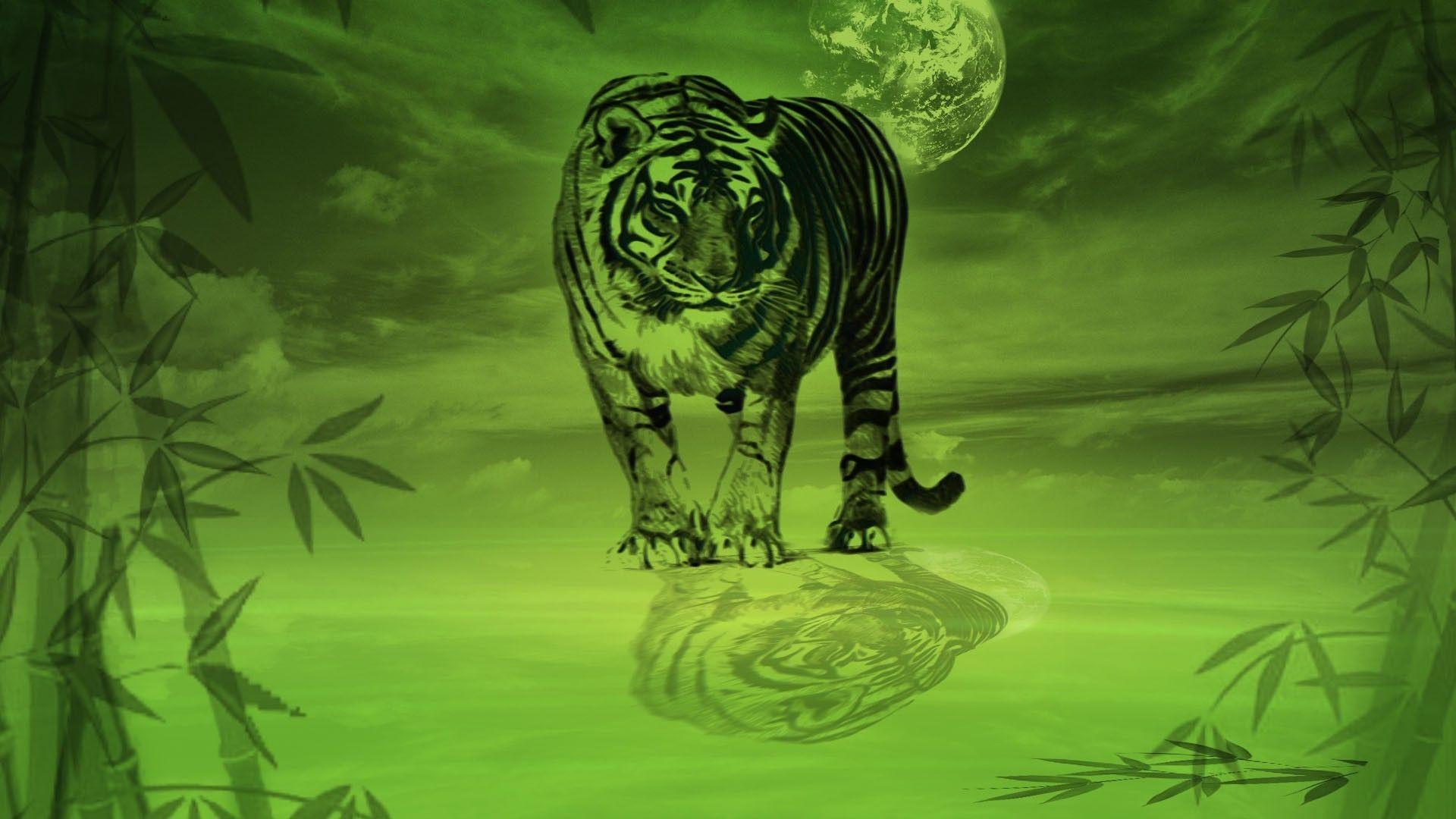 Green Tiger Wallpapers Top Free Green Tiger Backgrounds WallpaperAccess