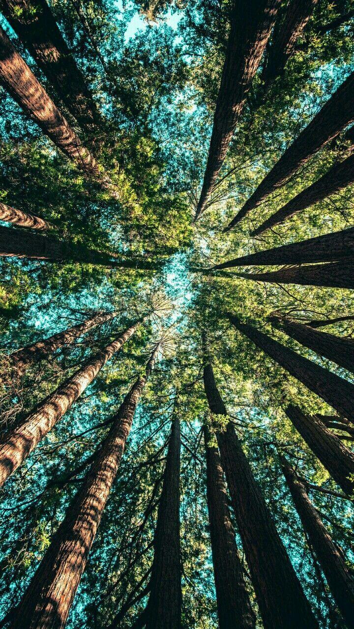 Pinterest Nature Wallpapers Top Free Pinterest Nature Backgrounds