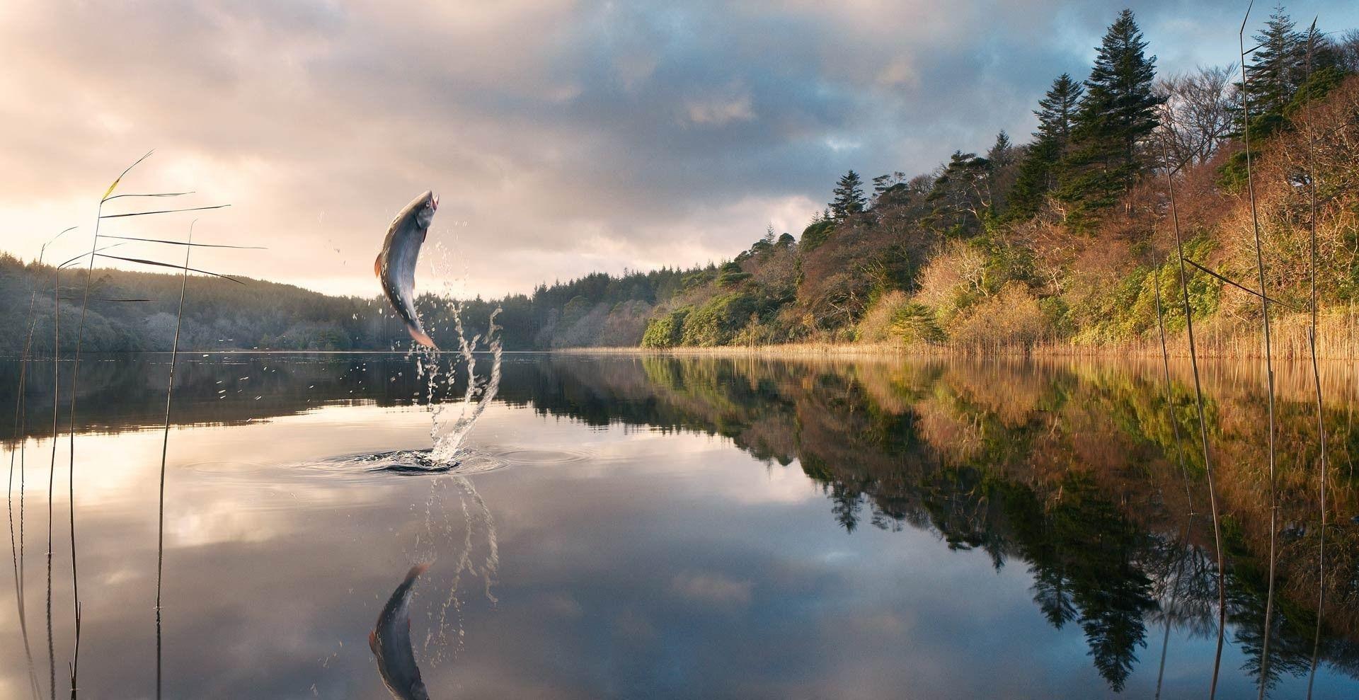 Lake Fishing Wallpapers Top Free Lake Fishing Backgrounds