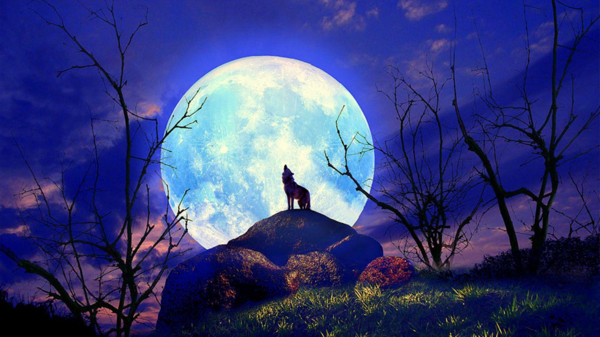 Beautiful Full Moon Wallpapers Top Free Beautiful Full Moon