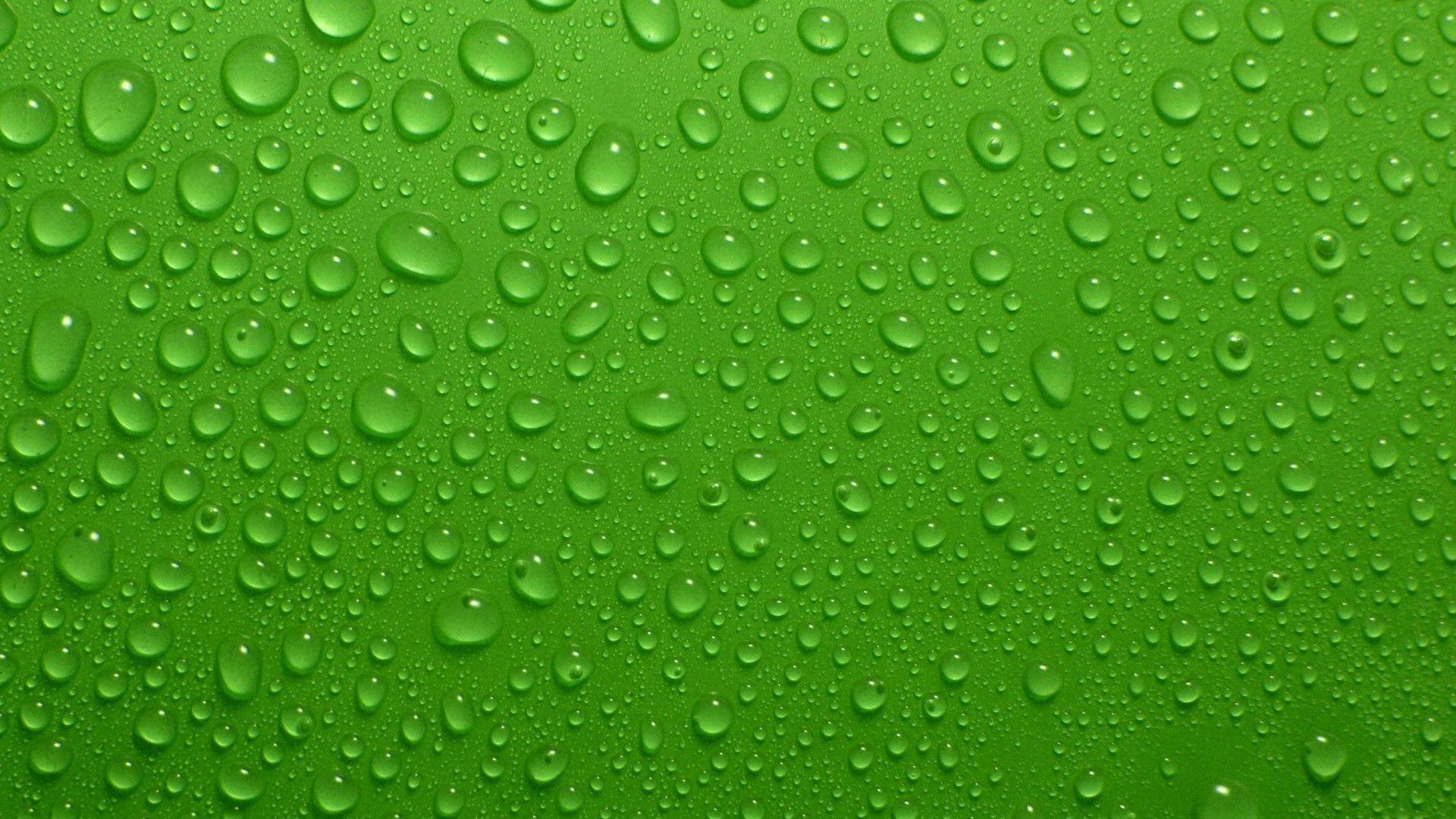 Green Colour Wallpapers Top Free Green Colour Backgrounds