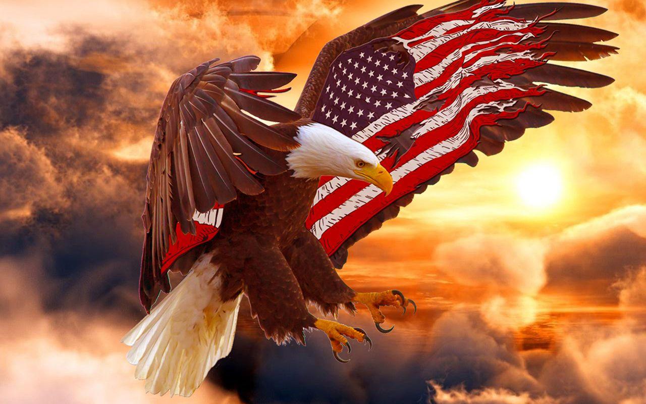 Us Eagle Flag Wallpapers Top Free Us Eagle Flag Backgrounds