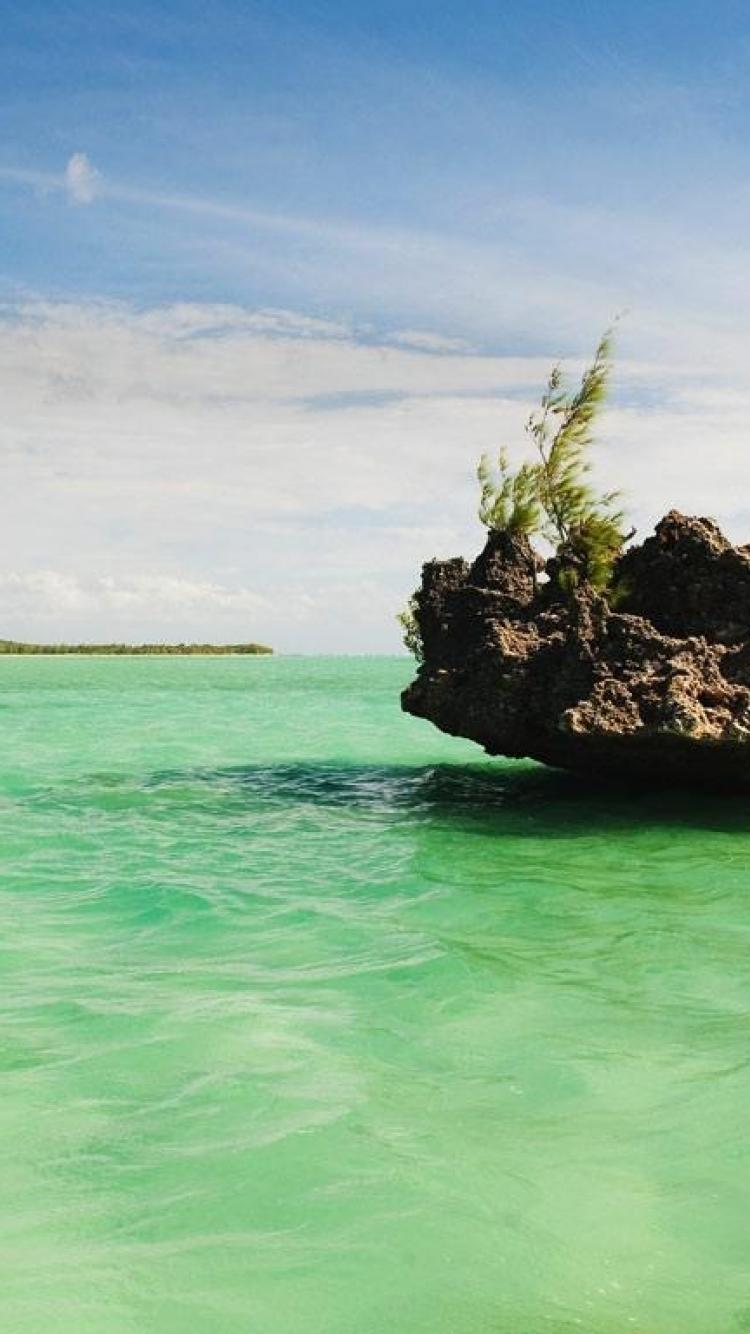 Bing Phone Wallpapers Top Free Bing Phone Backgrounds WallpaperAccess