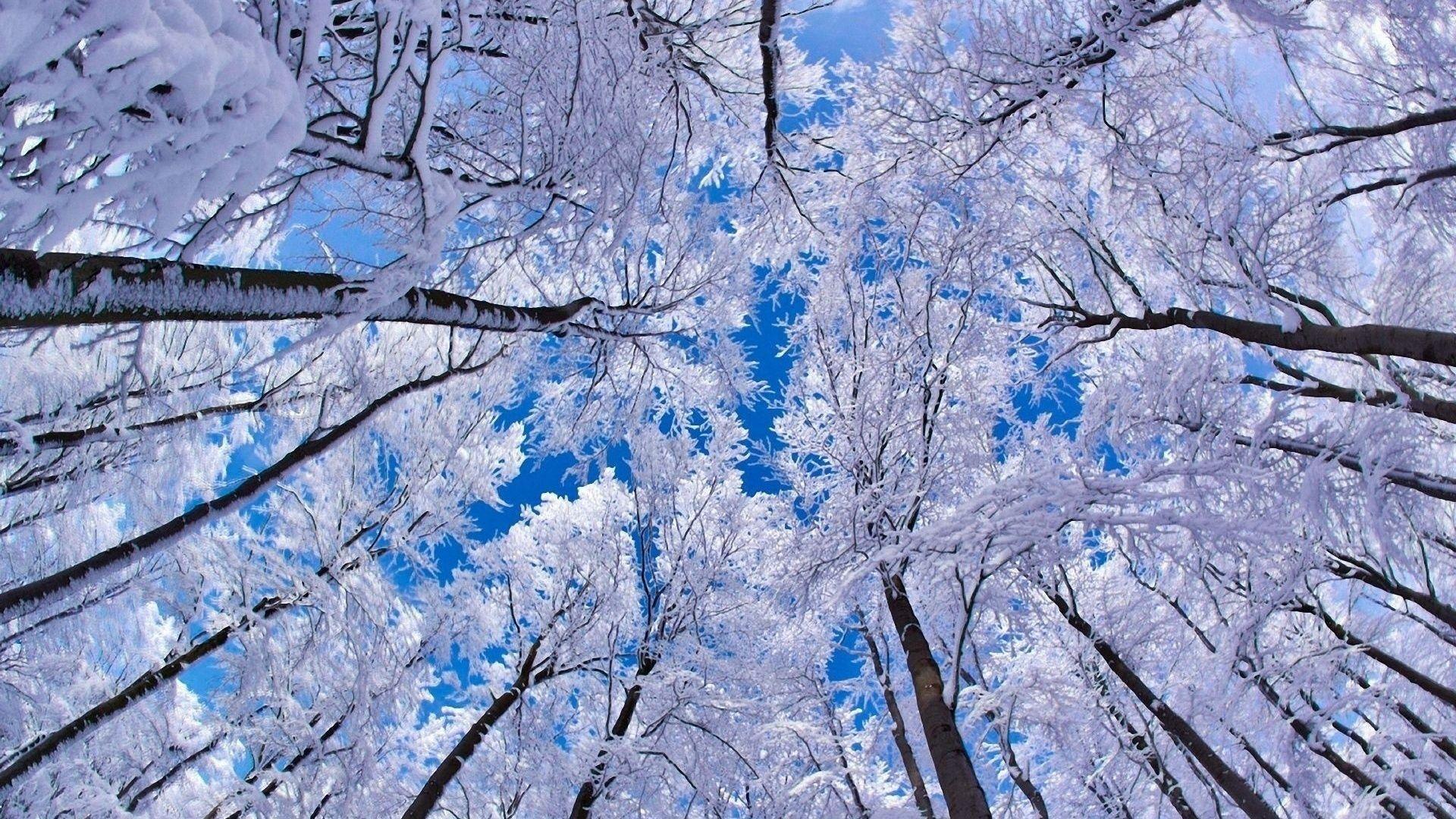 Texas Winter Wallpapers Top Free Texas Winter Backgrounds