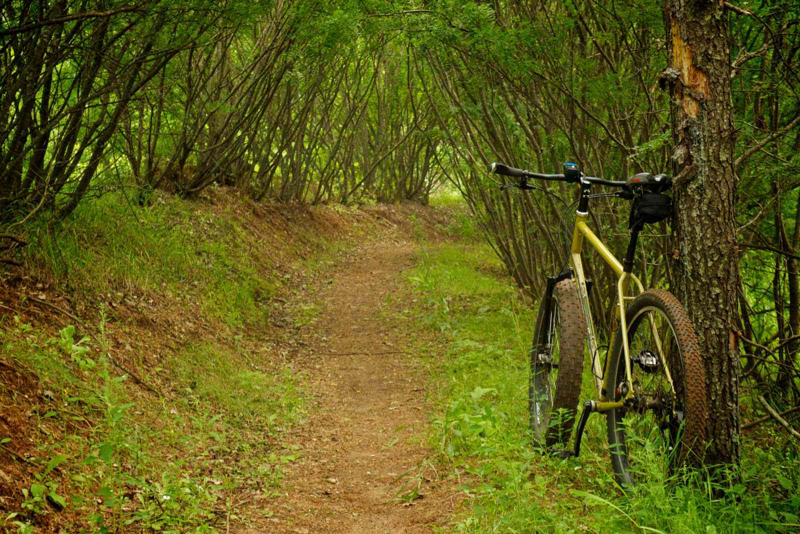 Mountain Bike Trail Wallpapers Top Free Mountain Bike Trail