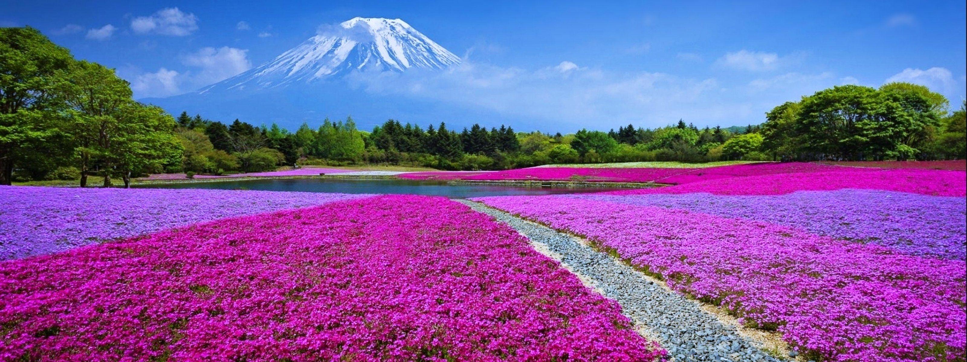 Panoramic Wallpaper Dual Screen Flowers