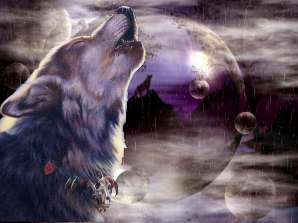 Spirit Animal Wolf Wallpapers Top Free Spirit Animal Wolf Backgrounds