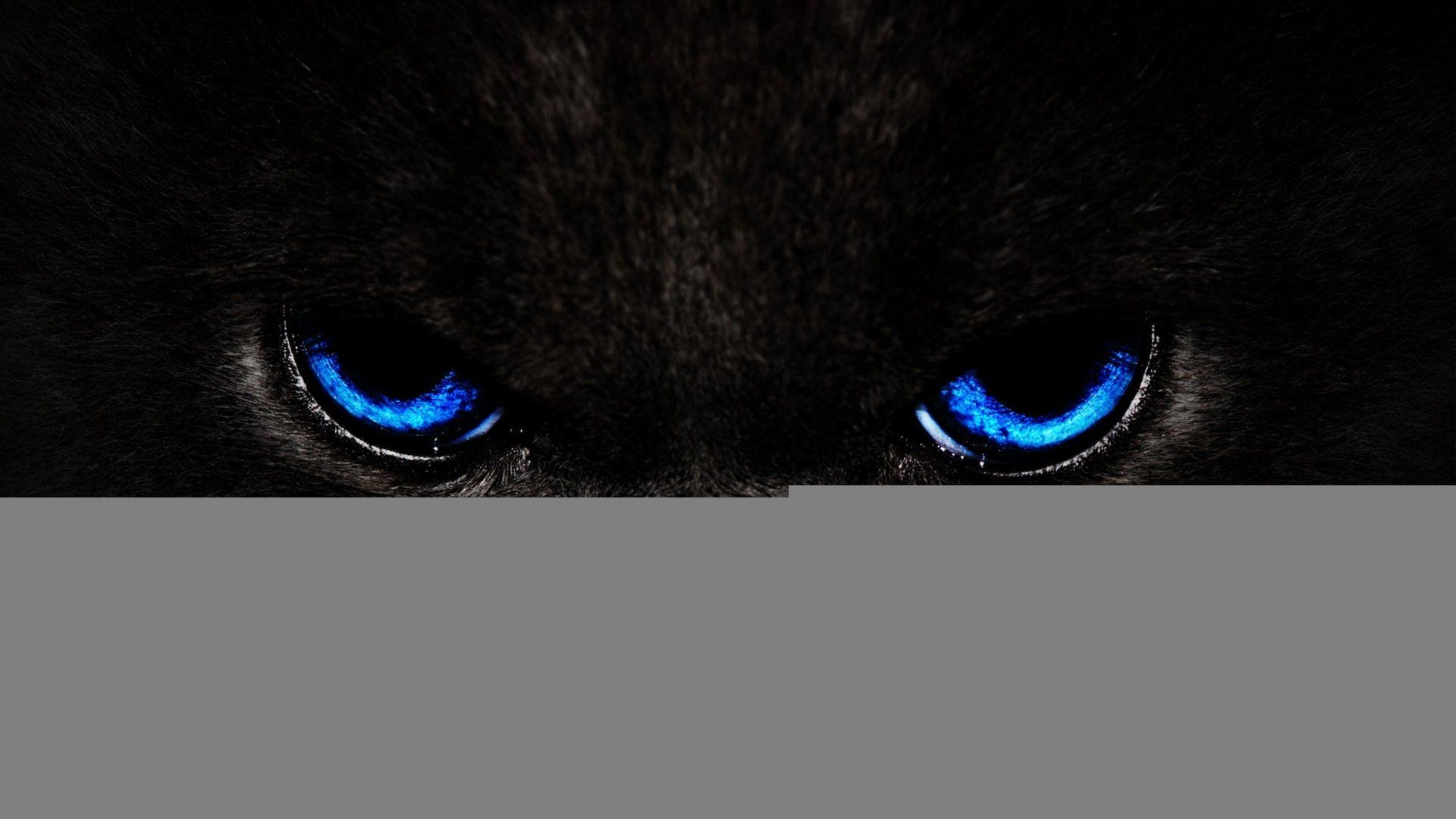 Black Panther Eyes Wallpapers Top Free Black Panther Eyes Backgrounds