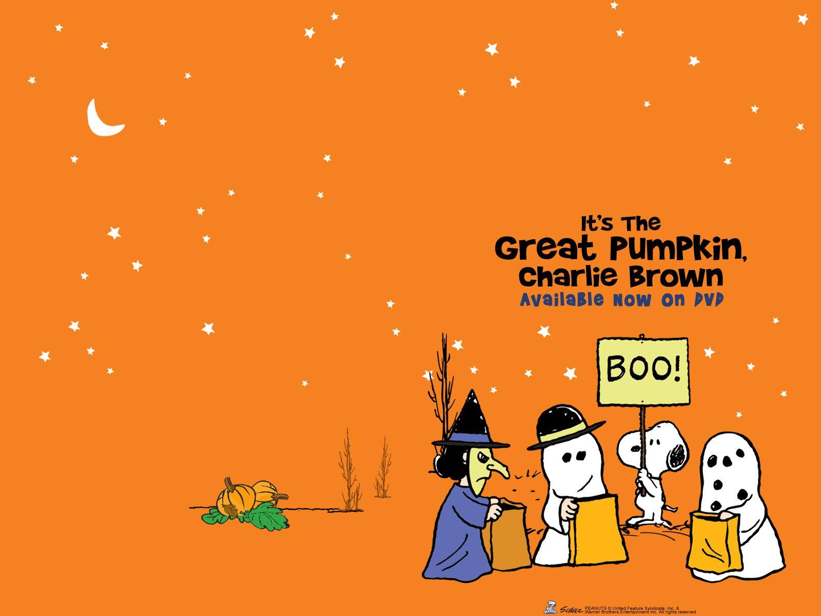 Snoopy Halloween Computer Wallpapers Top Free Snoopy Halloween
